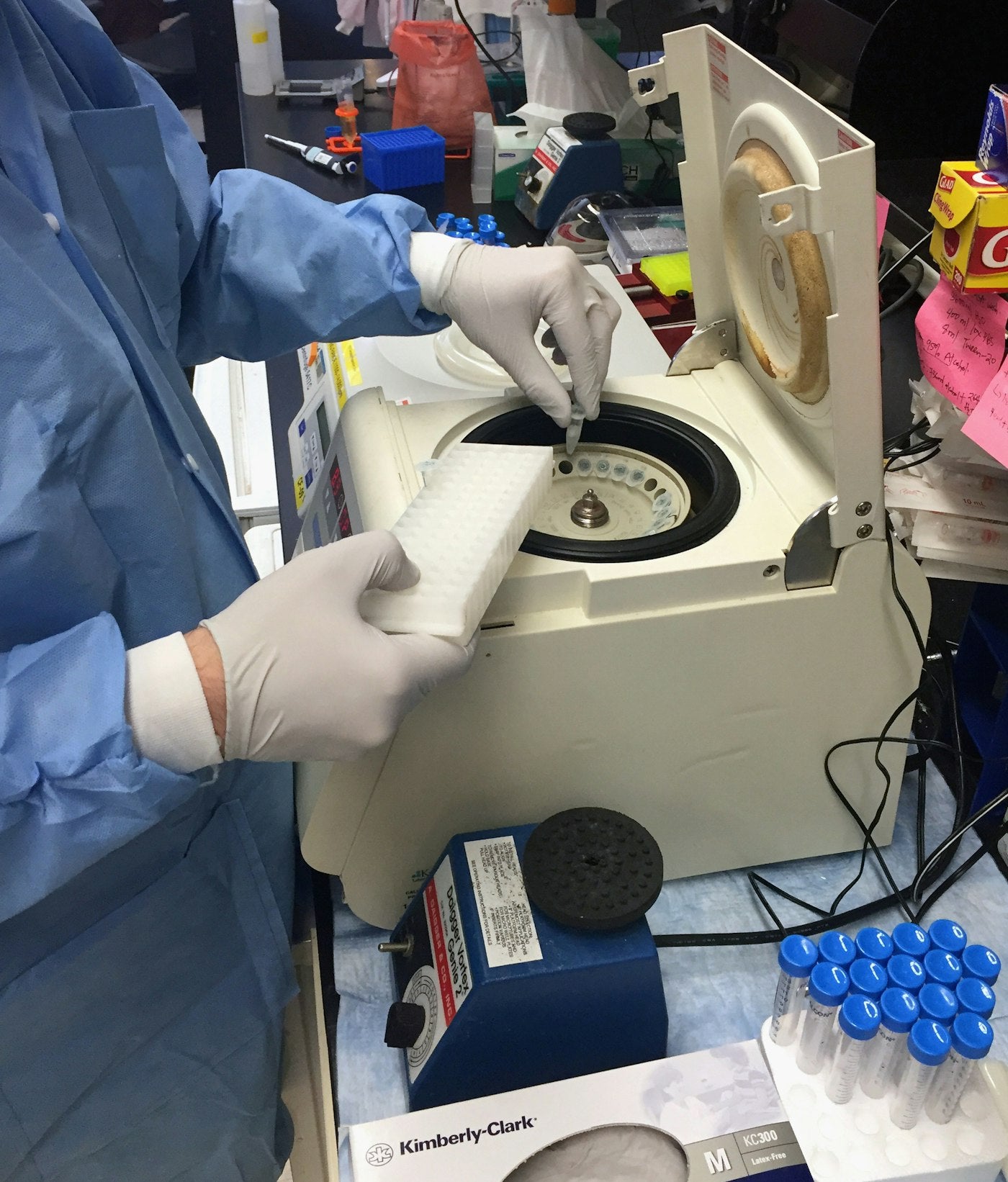 Lab researcher in protective gloves handling samples