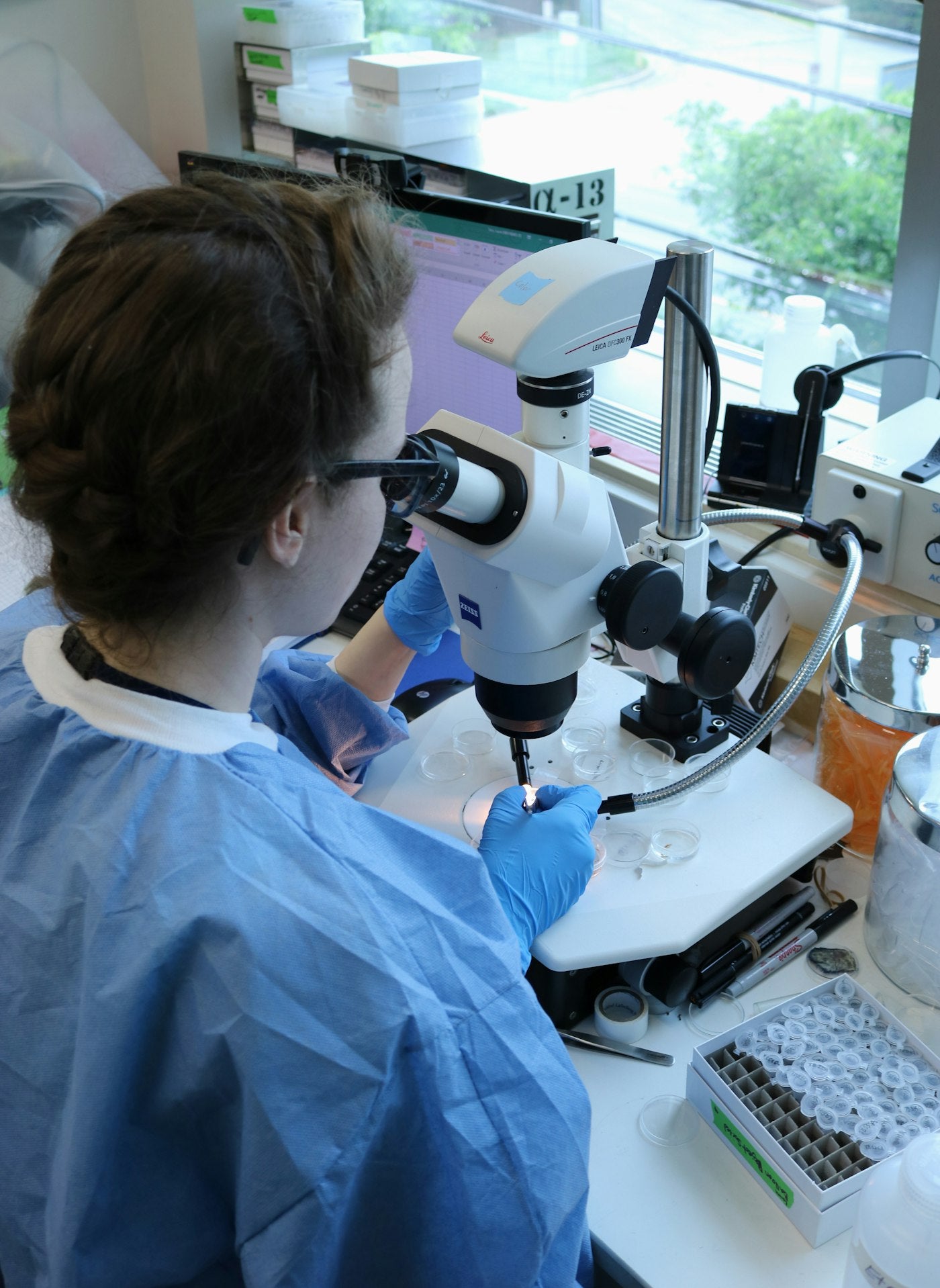 Researcher examining samples under a microscope