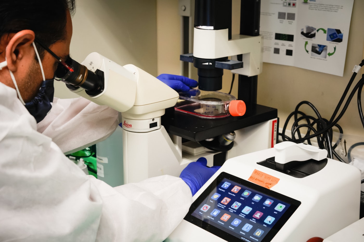 Scientist examining samples in a research laboratory