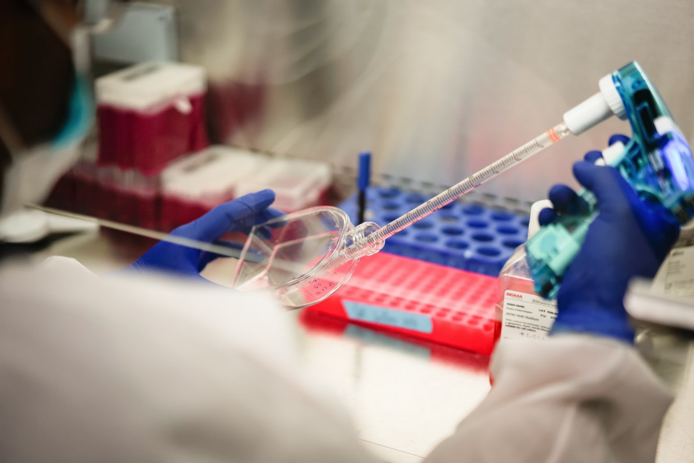 Laboratory researcher handling specimens