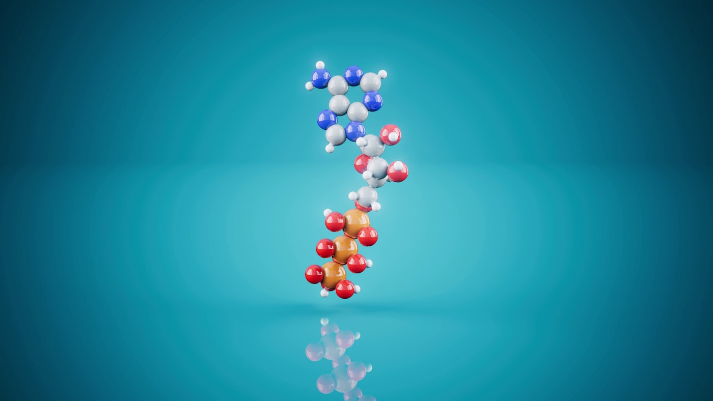 Abstract 3D molecular model representing longevity research